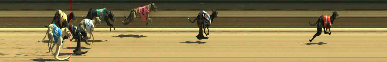 Photo finish for Warragul Race 6