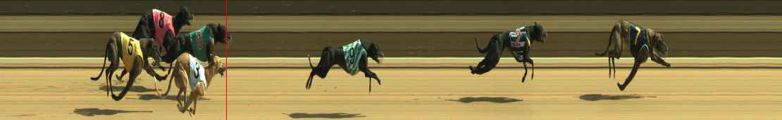 Photo finish for Warragul Race 7