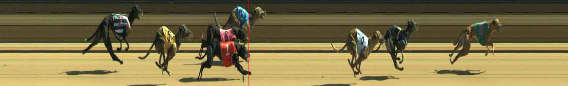 Photo finish for Warragul Race 8