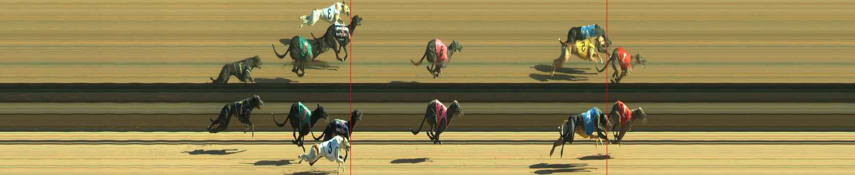 Photo finish for Warragul Race 9