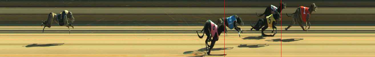 Photo finish for Warragul Race 10