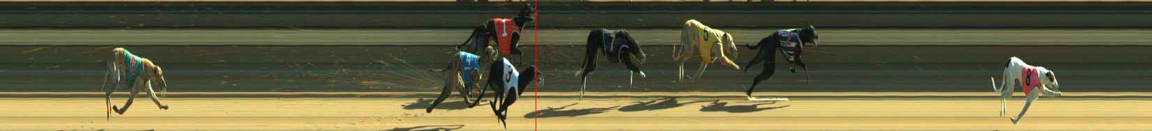 Photo finish for Warragul Race 11