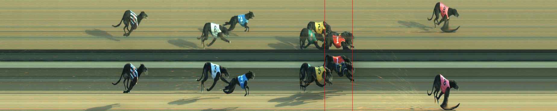 Photo finish for Warragul Race 12