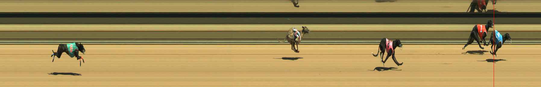 Race result finish photo