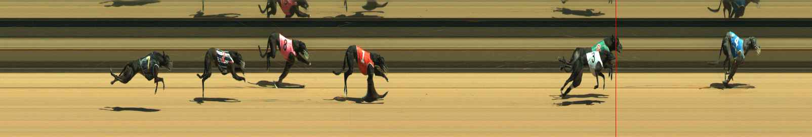 Photo finish for Warragul Race 3