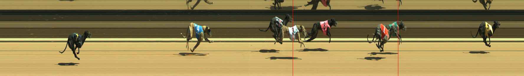 Photo finish for Warragul Race 5