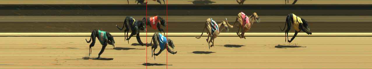 Photo finish for Warragul Race 6