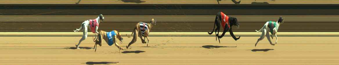 Photo finish for Warragul Race 7