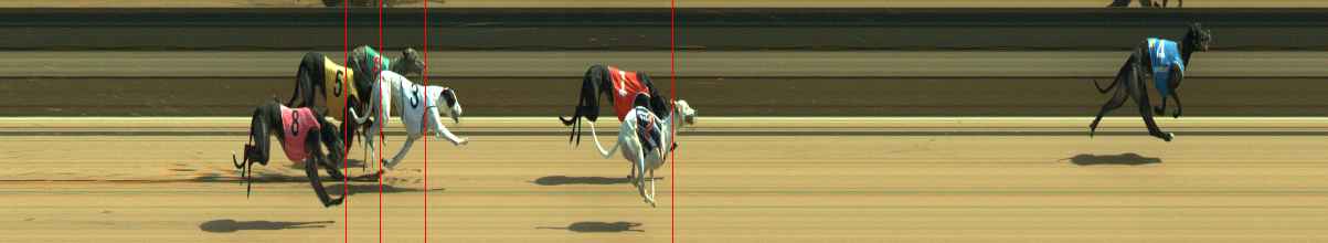 Photo finish for Warragul Race 8