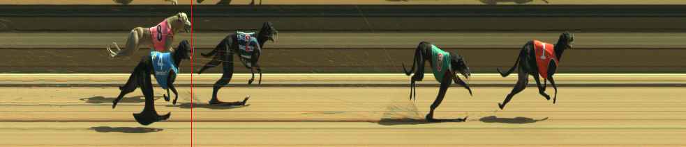 Photo finish for Warragul Race 9