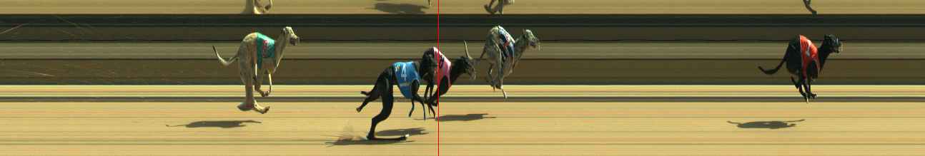Photo finish for Warragul Race 10