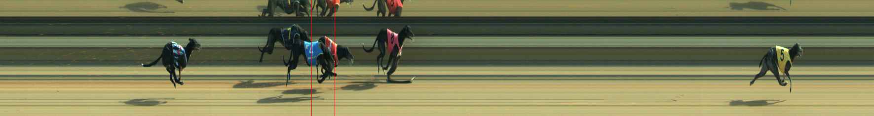 Photo finish for Warragul Race 11