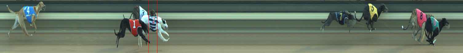 Race result finish photo