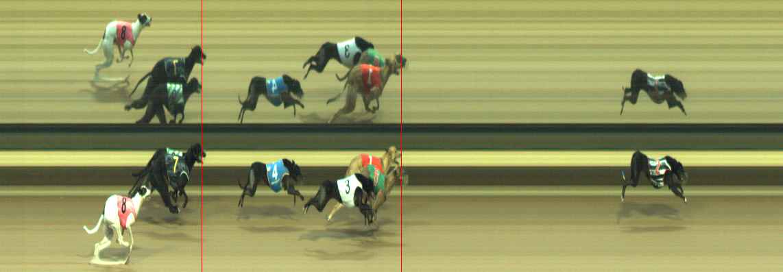 Photo finish for Warragul Race 3