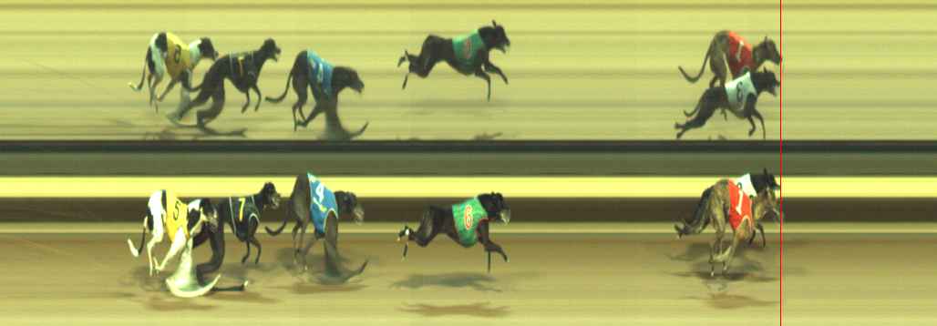 Photo finish for Warragul Race 6