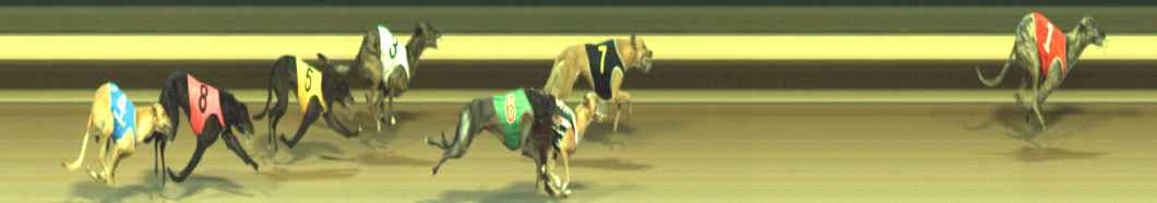 Photo finish for Warragul Race 7