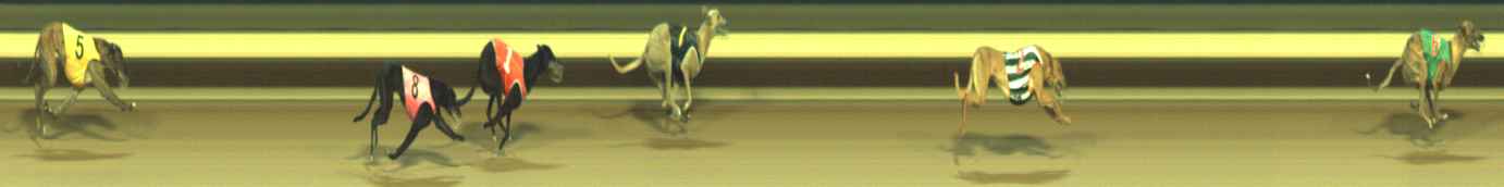 Photo finish for Warragul Race 8
