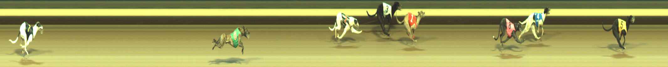 Photo finish for Warragul Race 10