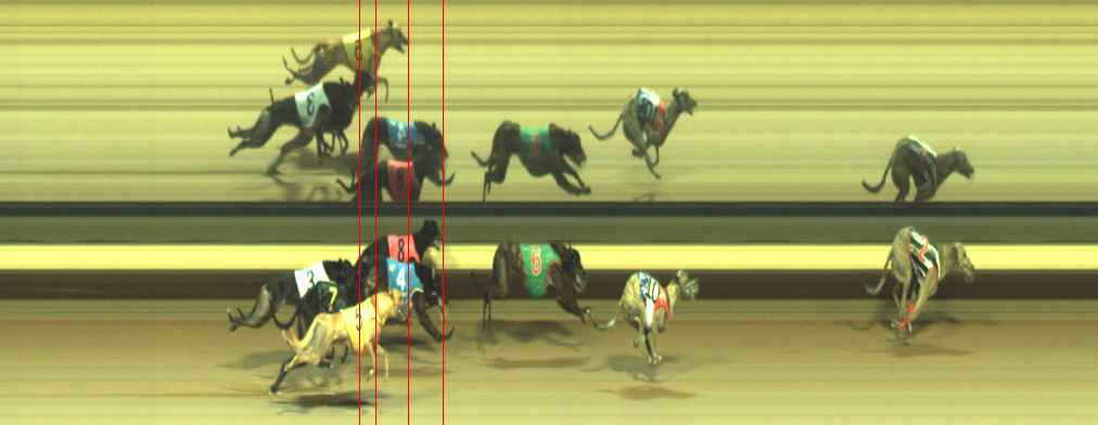 Photo finish for Warragul Race 11