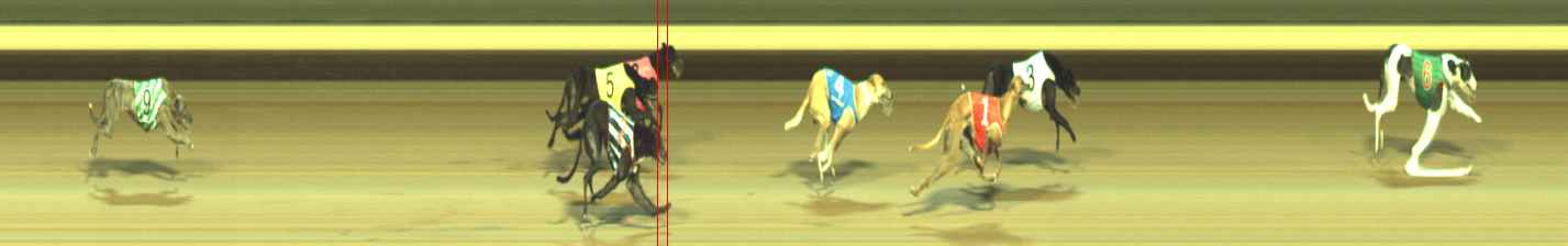 Photo finish for Warragul Race 12