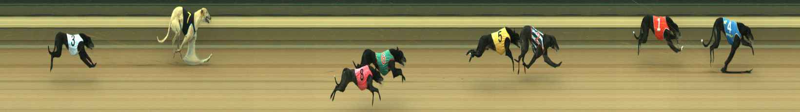 Race result finish photo