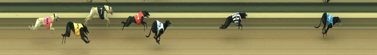 Photo finish for Warragul Race 2
