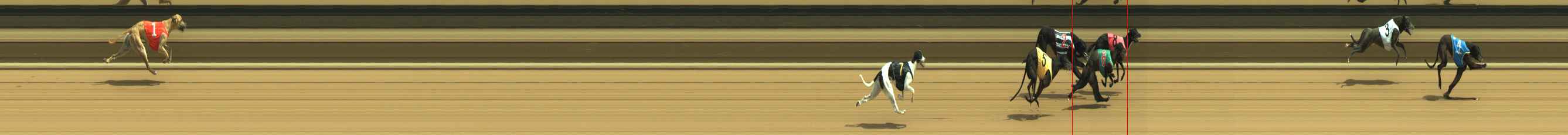 Photo finish for Warragul Race 4