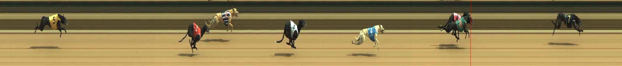 Photo finish for Warragul Race 5