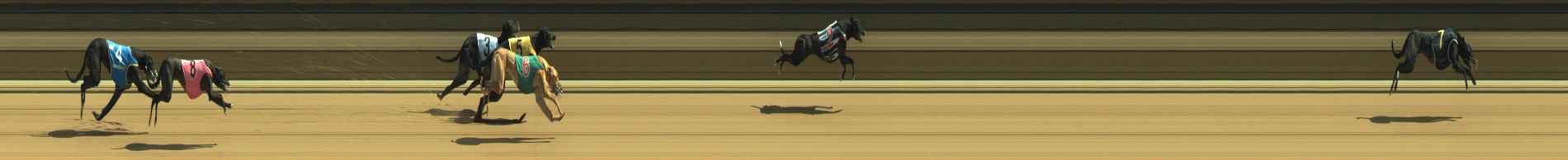 Photo finish for Warragul Race 7