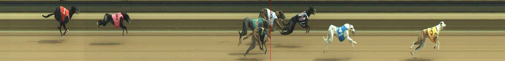 Photo finish for Warragul Race 8