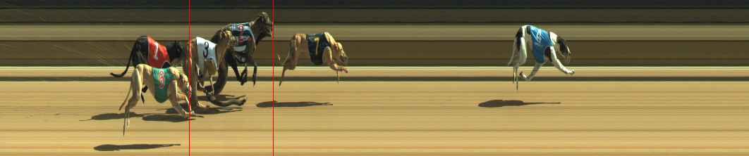 Photo finish for Warragul Race 9