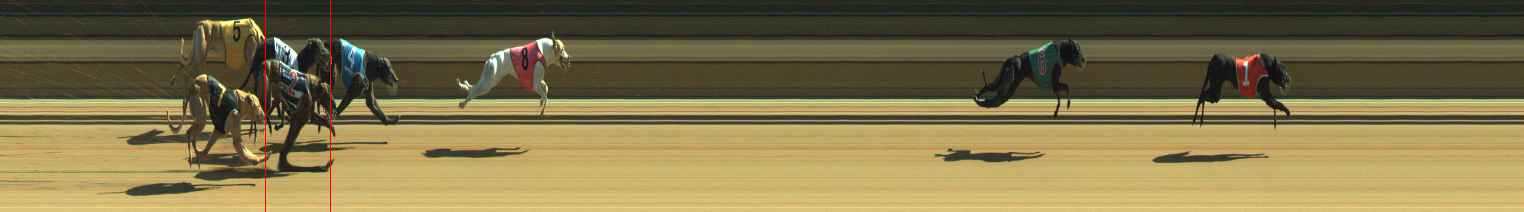 Photo finish for Warragul Race 10