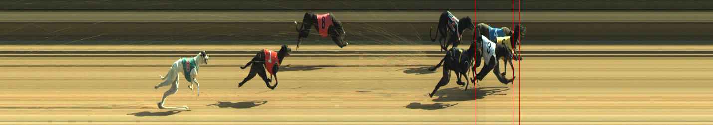 Photo finish for Warragul Race 11