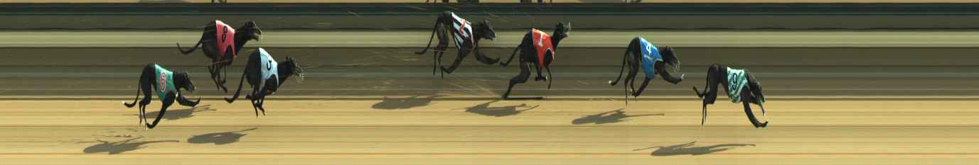 Photo finish for Warragul Race 12