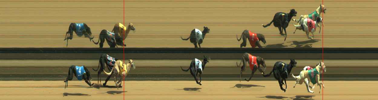 Photo finish for Warragul Race 2