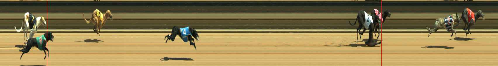 Photo finish for Warragul Race 3