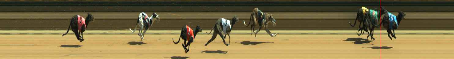 Race result finish photo