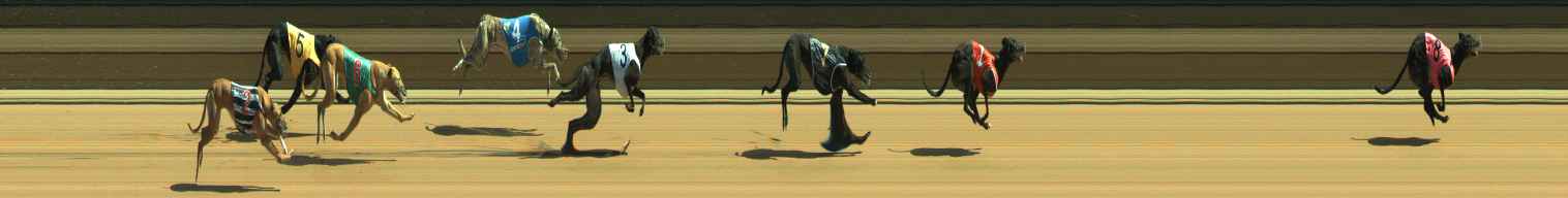 Photo finish for Warragul Race 6