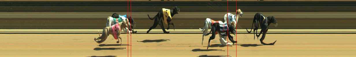 Photo finish for Warragul Race 7