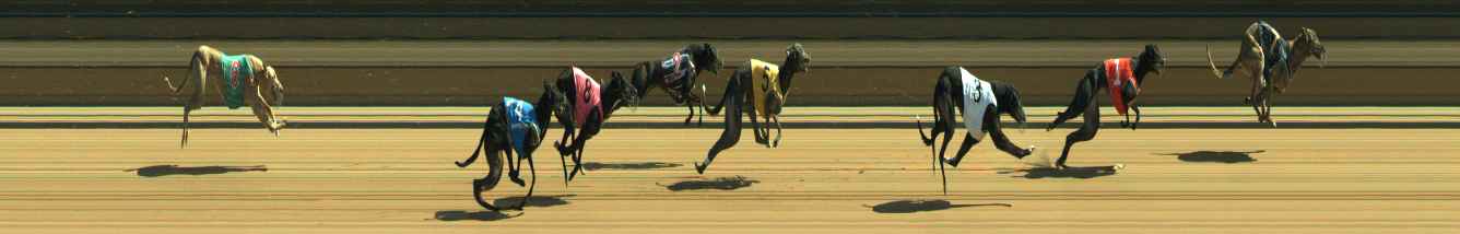 Photo finish for Warragul Race 8