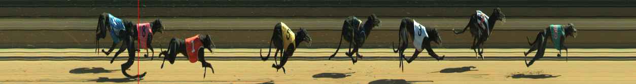 Photo finish for Warragul Race 9