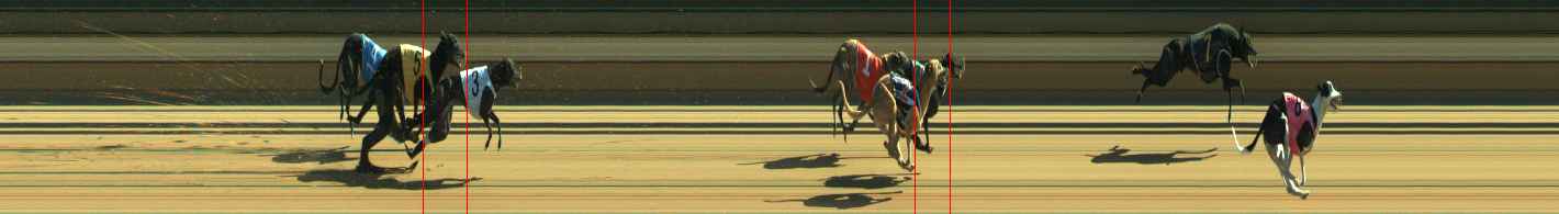 Photo finish for Warragul Race 10