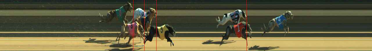 Photo finish for Warragul Race 11