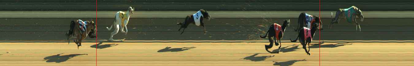 Photo finish for Warragul Race 12