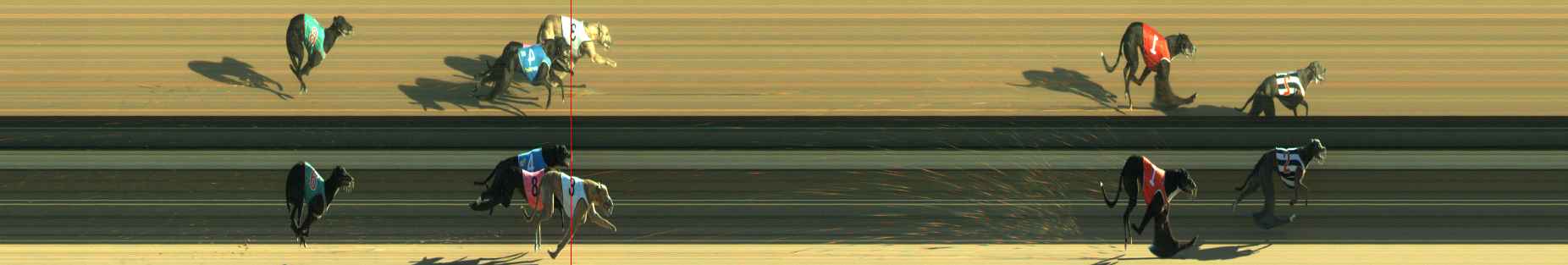 Photo finish for Warragul Race 1