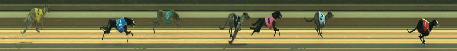 Photo finish for Warragul Race 3