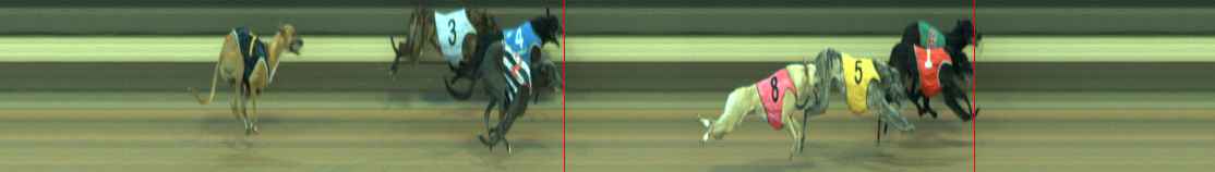Photo finish for Warragul Race 4