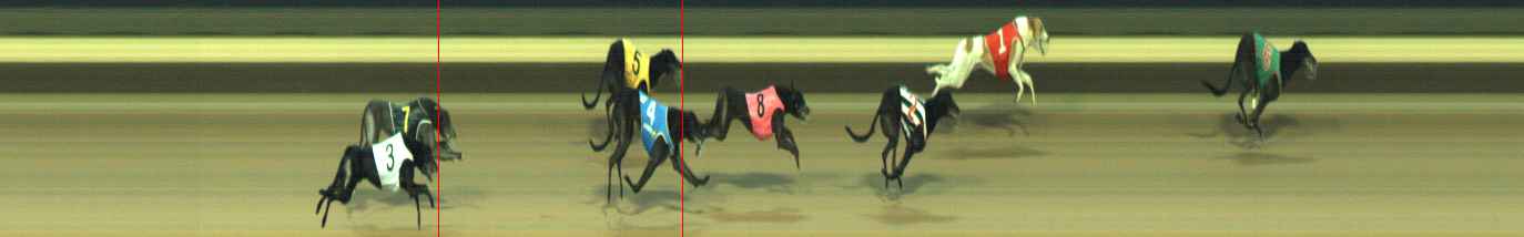 Photo finish for Warragul Race 5