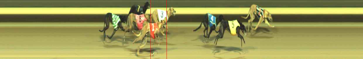 Photo finish for Warragul Race 6
