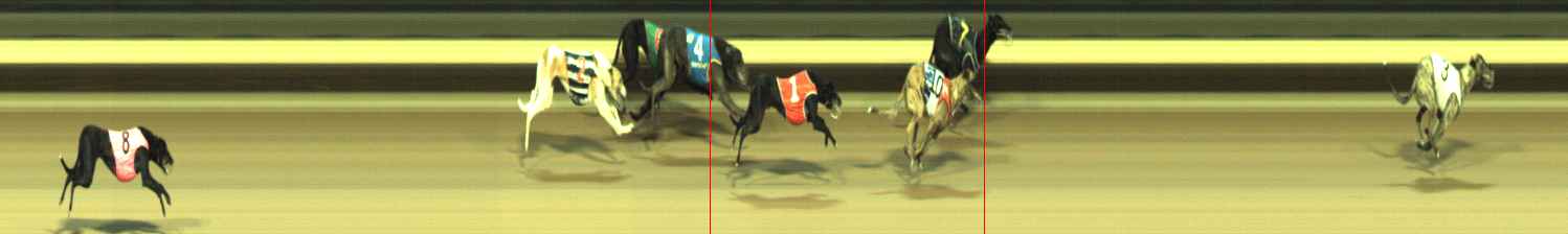 Photo finish for Warragul Race 7